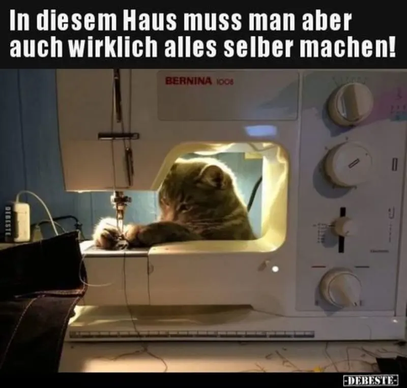 Andachtsbild von Post von Gatita, Schnuffi, Mausi und Timmy an Silvia 