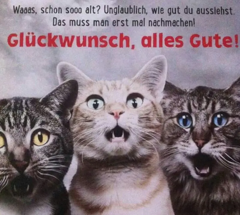 Andachtsbild von Von Deinem Frauchen Silvia