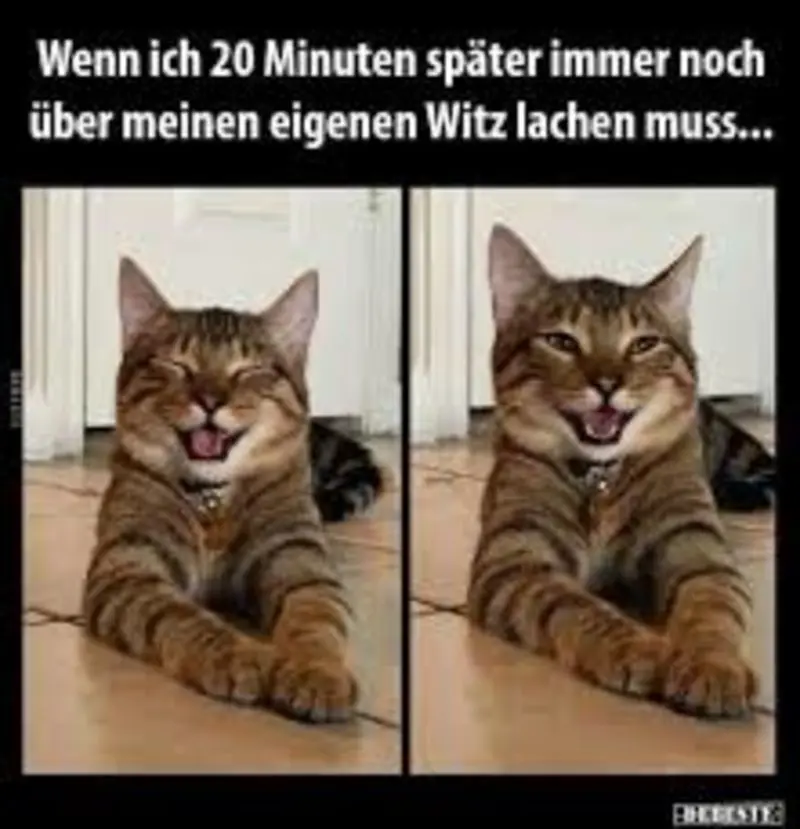 Andachtsbild von Post von Gatita, Schnuffi, Mausi und Timmy an Silvia 