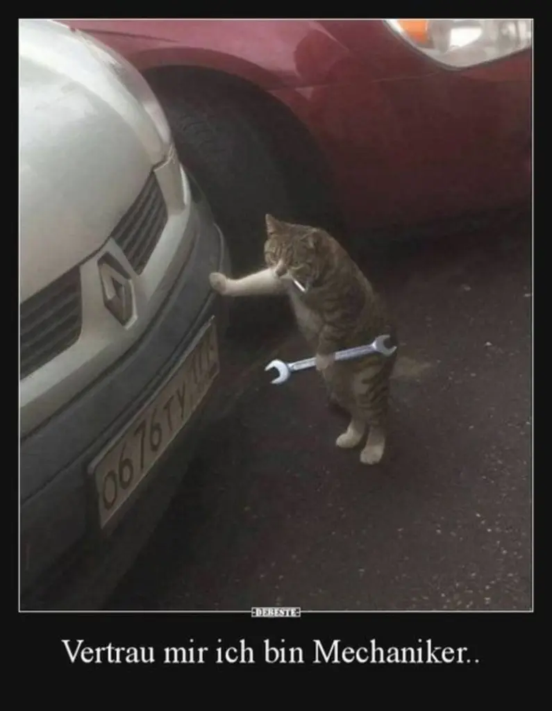 Andachtsbild von Post von Gatita, Schnuffi, Mausi und Timmy an Silvia 