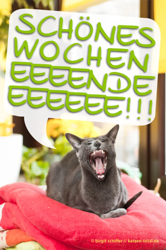 Andachtsbild von Timmys Mutti Tanja 