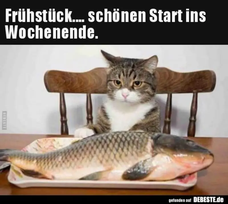 Andachtsbild von Post von Gatita, Schnuffi, Mausi und Timmy an Silvia 