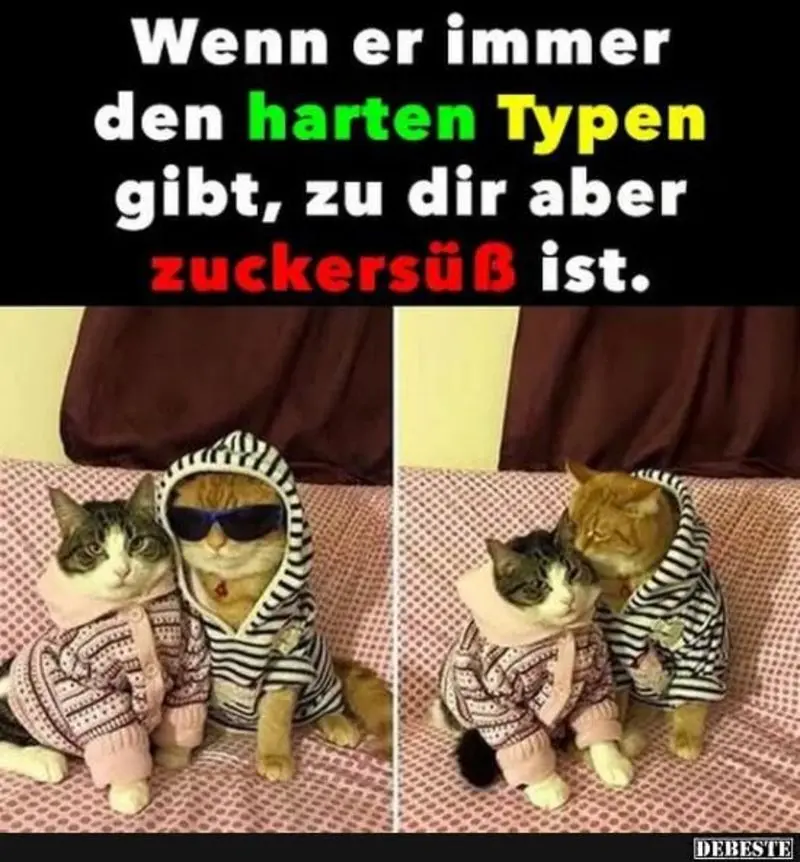 Andachtsbild von Post von Gatita, Schnuffi, Mausi und Timmy an Silvia 