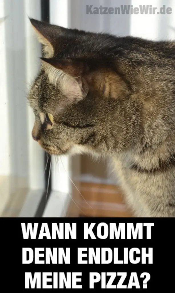 Andachtsbild von Post von Gatita, Schnuffi, Mausi und Timmy an Silvia 