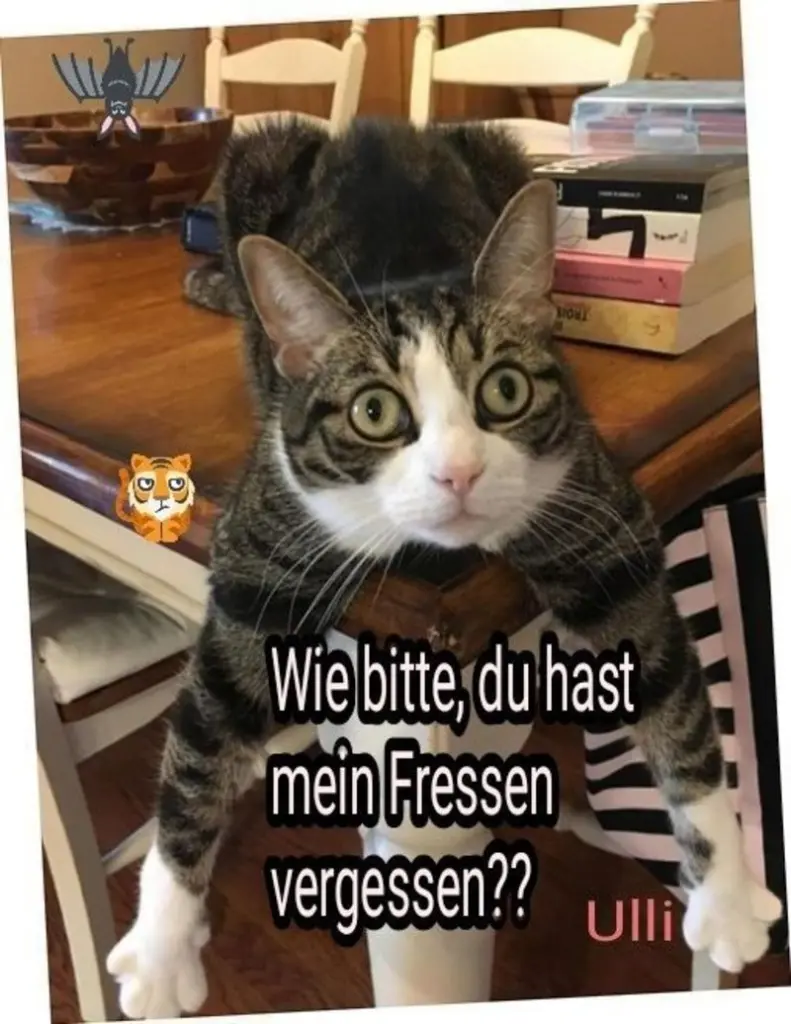 Andachtsbild von Post von Gatita, Schnuffi, Mausi und Timmy an Silvia 