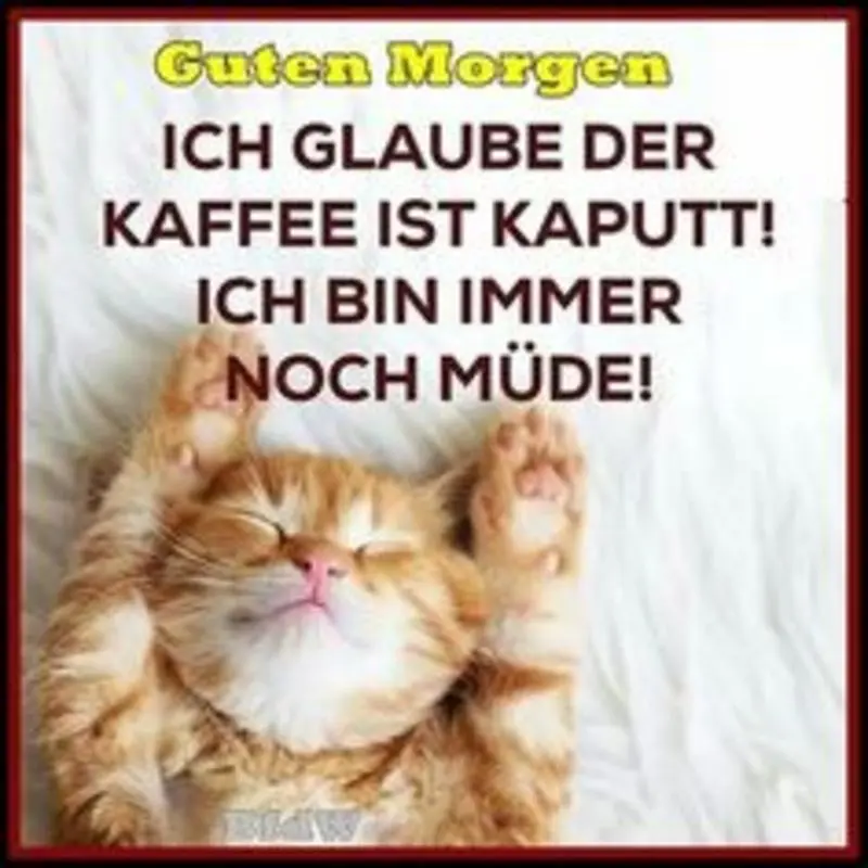 Andachtsbild von Post von Gatita, Schnuffi, Mausi und Timmy an Silvia