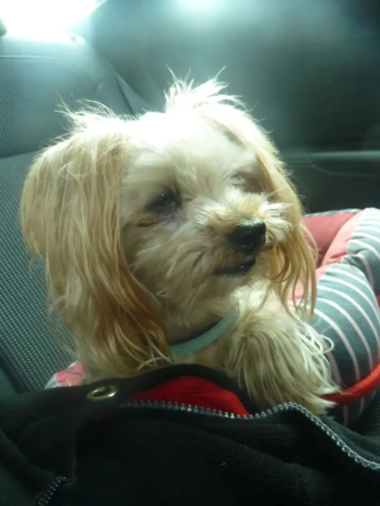 Andachtsbild von Anke & Andreas