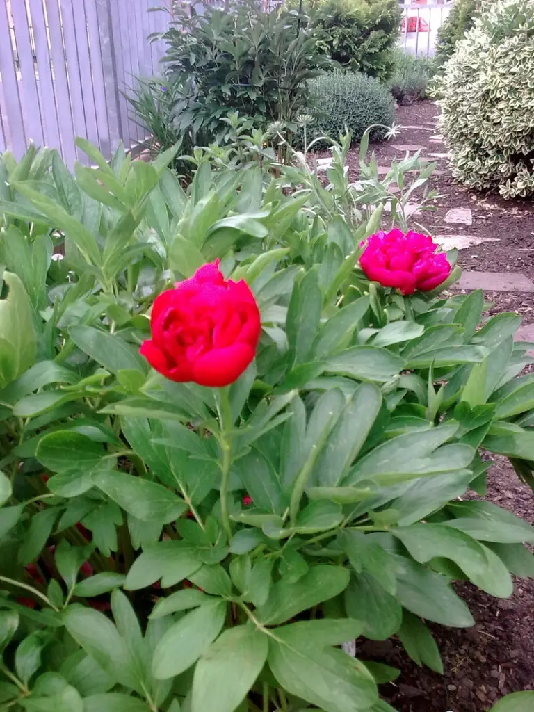 Andachtsbild von Andrea mit Minki im ♥