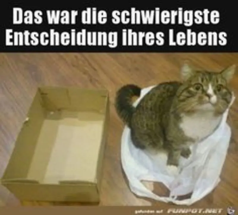 Andachtsbild von  Post von Gatita, Timmy, Schnuffi und Mausi an Katzenmutti Silvia 