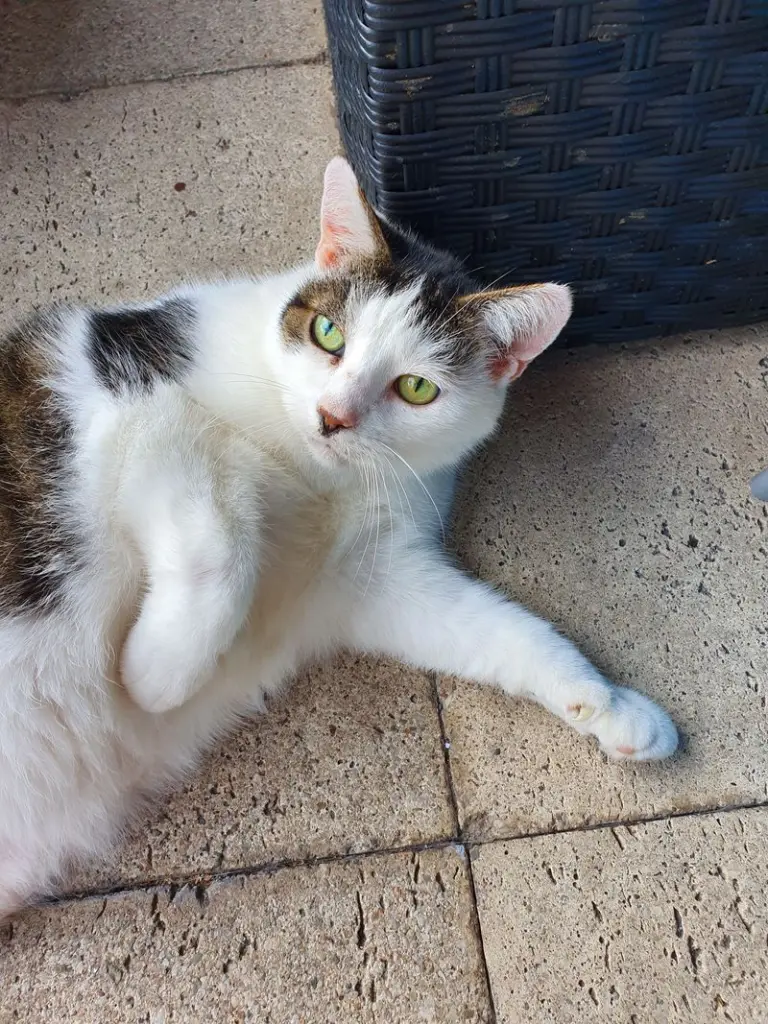 Andachtsbild von Christiane 