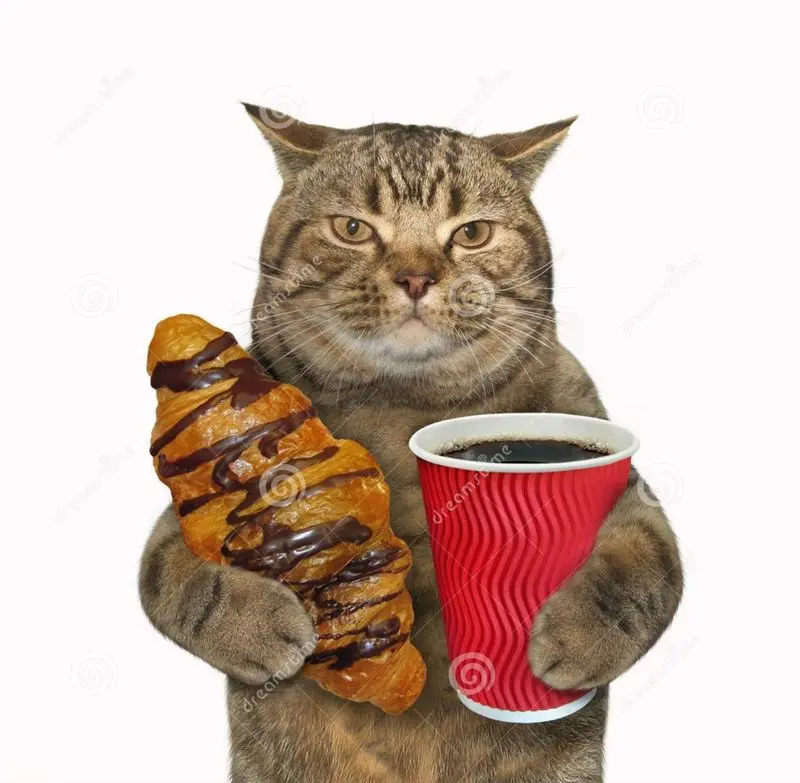 Andachtsbild von Post von Gatita, Schnuffi, Mausi und Timmy an Katzenmutti Silvia 