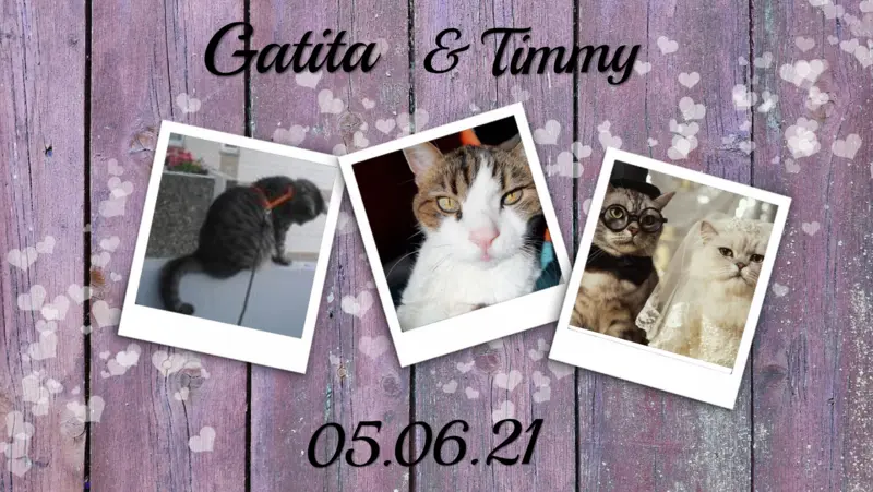 Andachtsbild von Bunny 