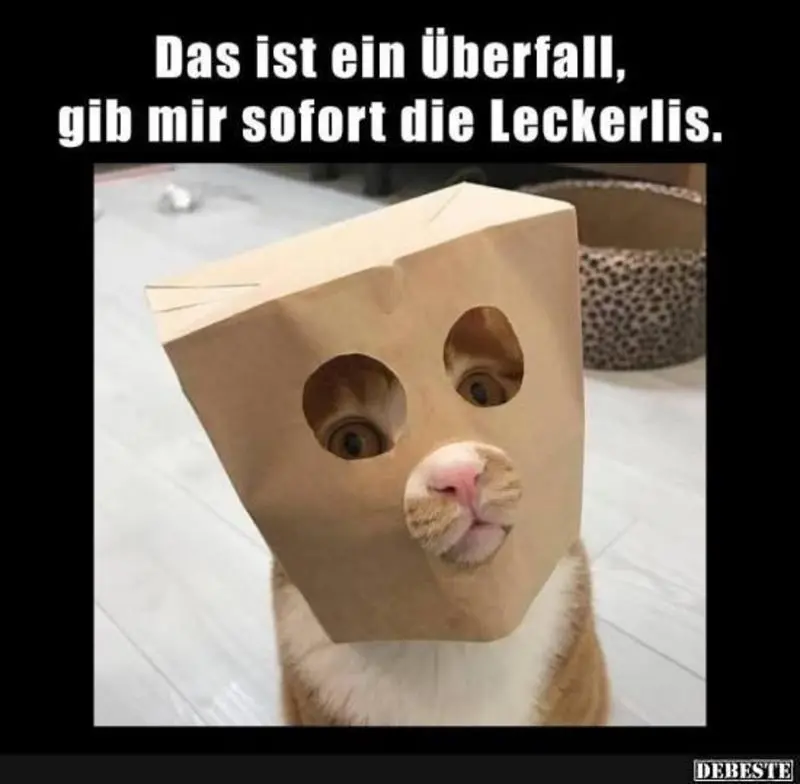 Andachtsbild von Post von Gatita, Schnuffi, Mausi und Timmy an Katzenmutti Silvia