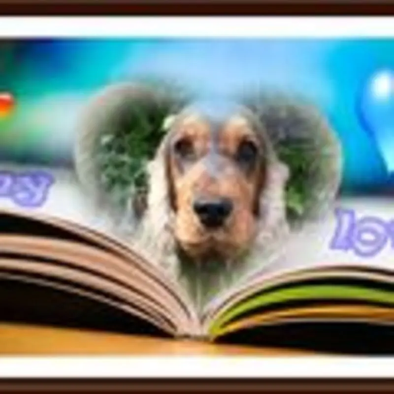 Andachtsbild von Amy