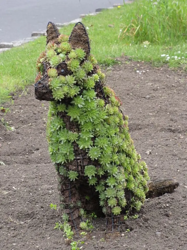 Andachtsbild von Sternchenpost ⭐