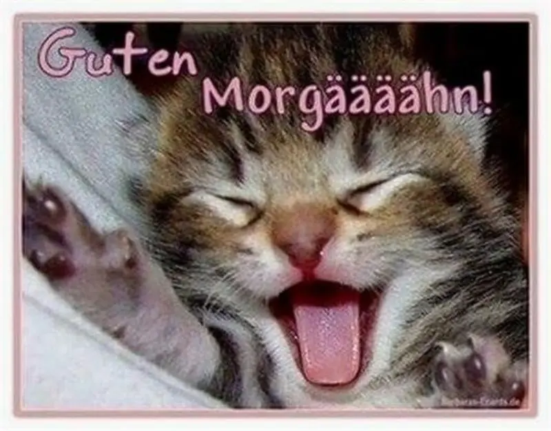 Andachtsbild von Guten Morgen ❤