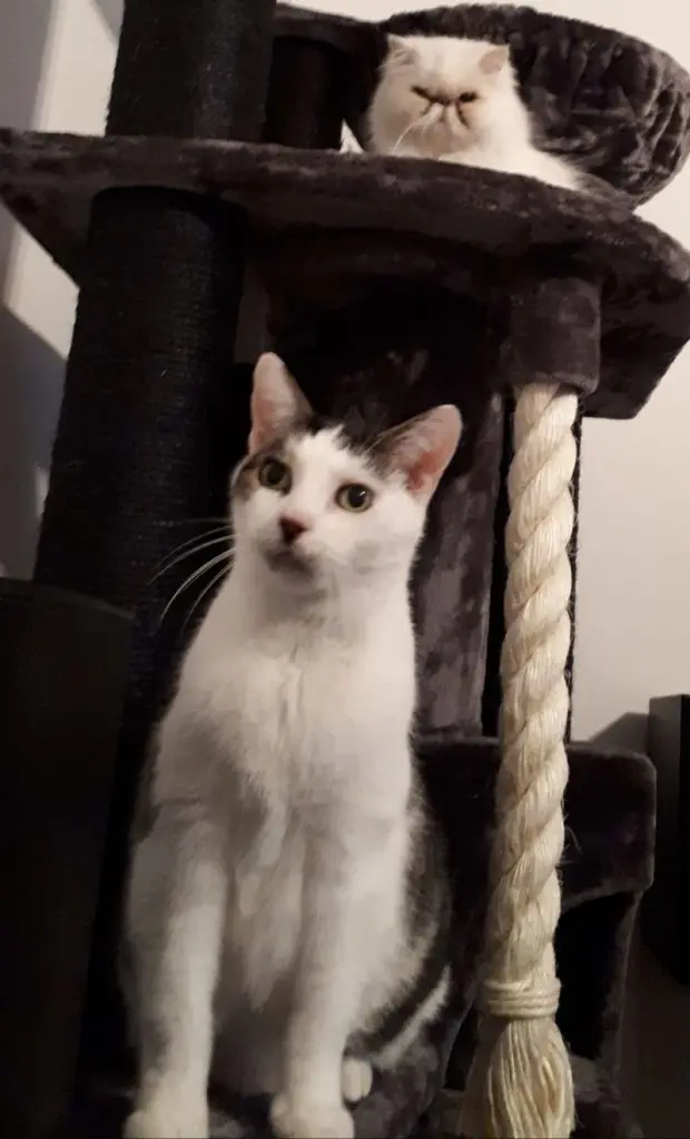 Andachtsbild von Christiane mit Casper im Herzen