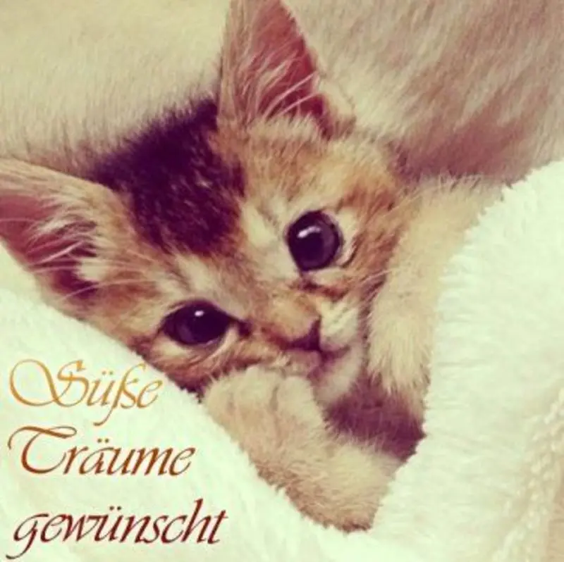 Andachtsbild von Gute Nacht ⭐