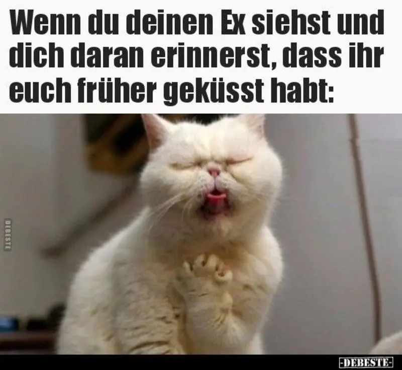 Andachtsbild von Post von Gatita, Schnuffi, Mausi und Timmy an Katzenmutti Silvia 