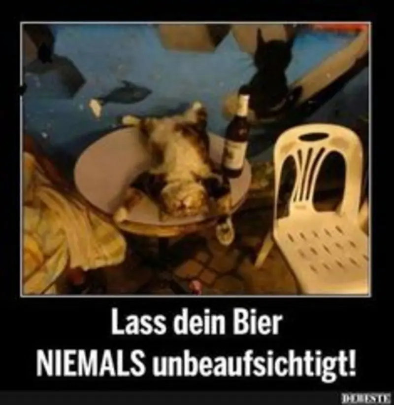 Andachtsbild von Post von Gatita, Schnuffi, Mausi und Timmy an Katzenmutti Silvia 