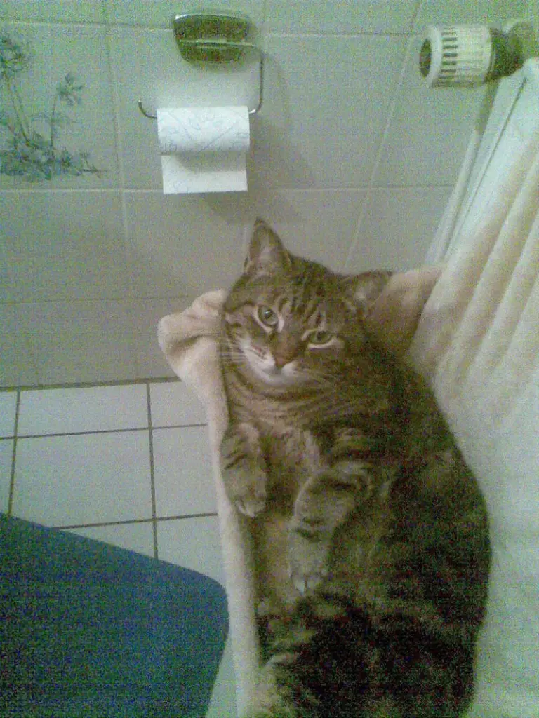 Andachtsbild von Marion