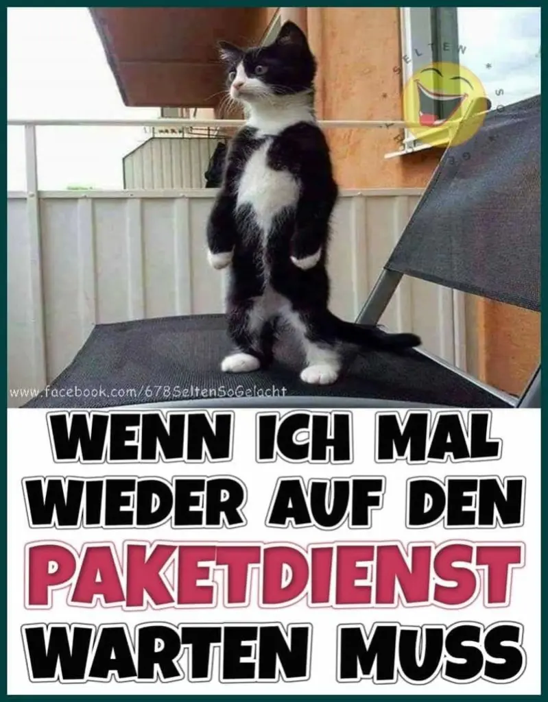 Andachtsbild von Post von Gatita, Schnuffi, Mausi und Timmy an Katzenmutti Silvia 