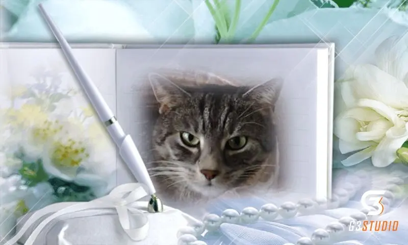 Andachtsbild von Sternchenpost ⭐