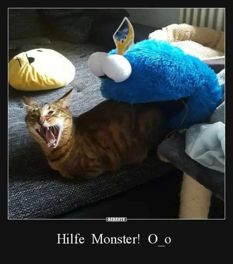 Andachtsbild von Post von Gatita, Schnuffi, Mausi und Timmy an Katzenmutti Silvia 