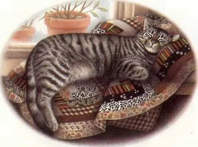 Andachtsbild von Sternchenpost⭐