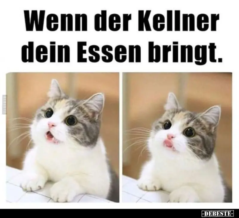 Andachtsbild von Post von Gatita, Schnuffi, Mausi und Timmy an Katzenmutti Silvia 