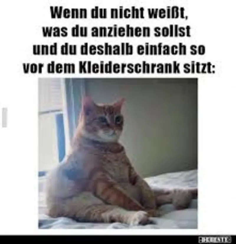 Andachtsbild von Post von Gatita, Schnuffi, Mausi und Timmy an Katzenmutti Silvia 