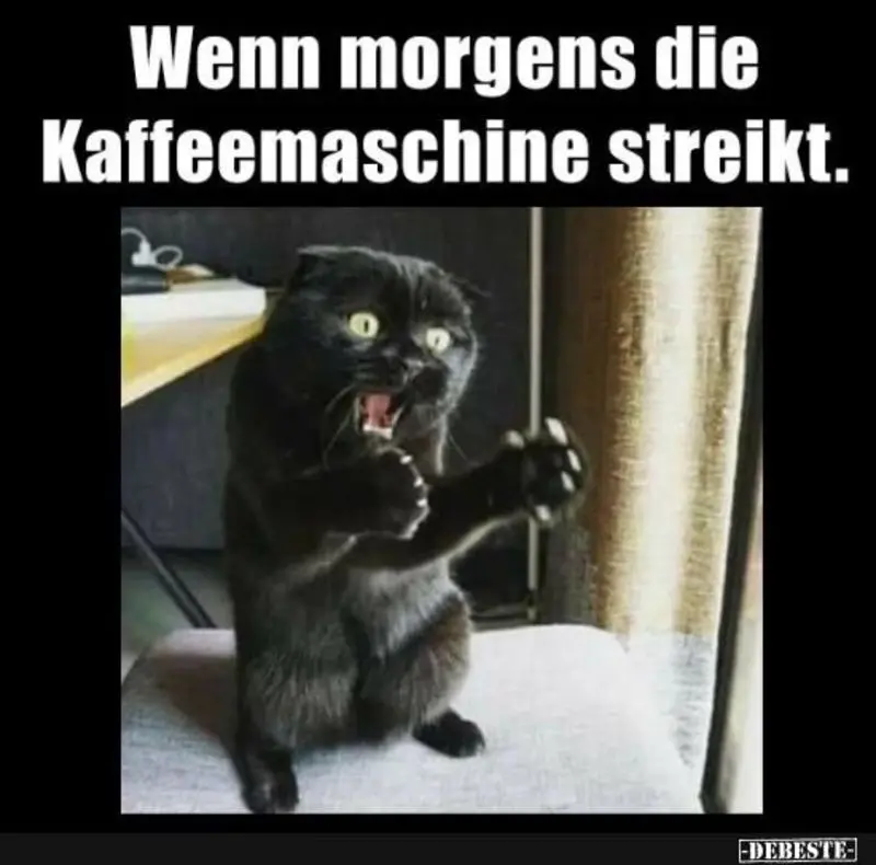 Andachtsbild von Post von Gatita, Schnuffi, Mausi und Timmy an Katzenmutti Silvia 