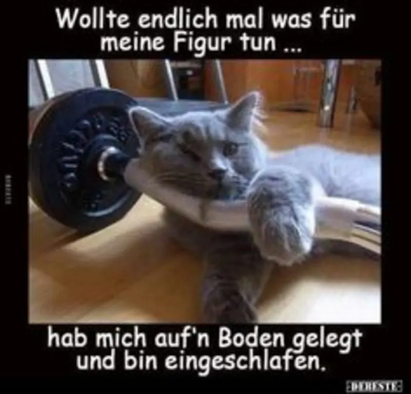 Andachtsbild von Post von Gatita, Schnuffi, Mausi und Timmy an Katzenmutti Silvia 