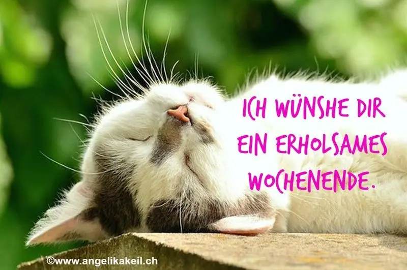 Andachtsbild von Post von Bunny 