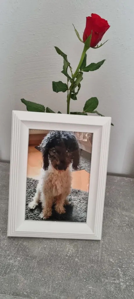 Andachtsbild von Melanie für Gatita