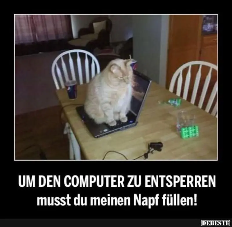 Andachtsbild von Post von Gatita, Schnuffi, Mausi und Timmy an Katzenmutti Silvia 