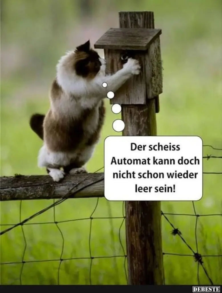 Andachtsbild von Post von Minki ⭐