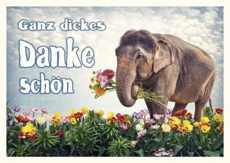 Andachtsbild von Post von Minki ⭐