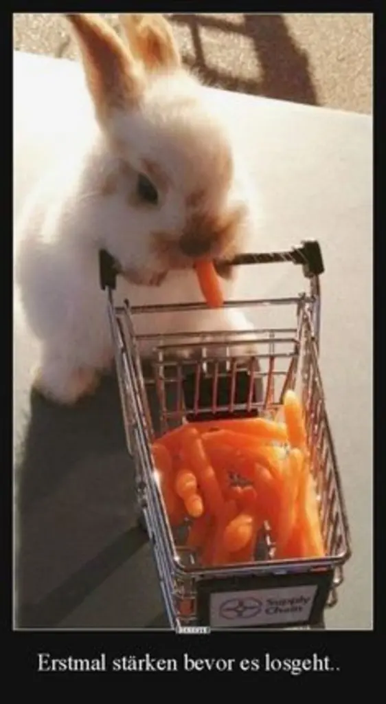 Andachtsbild von Patricia mit Bunny