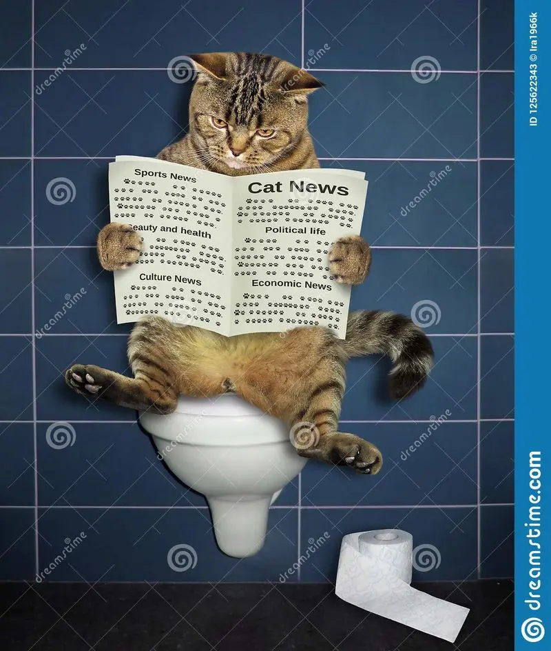 Andachtsbild von Post von Gatita, Schnuffi, Mausi und Timmy an Katzenmutti Silvia