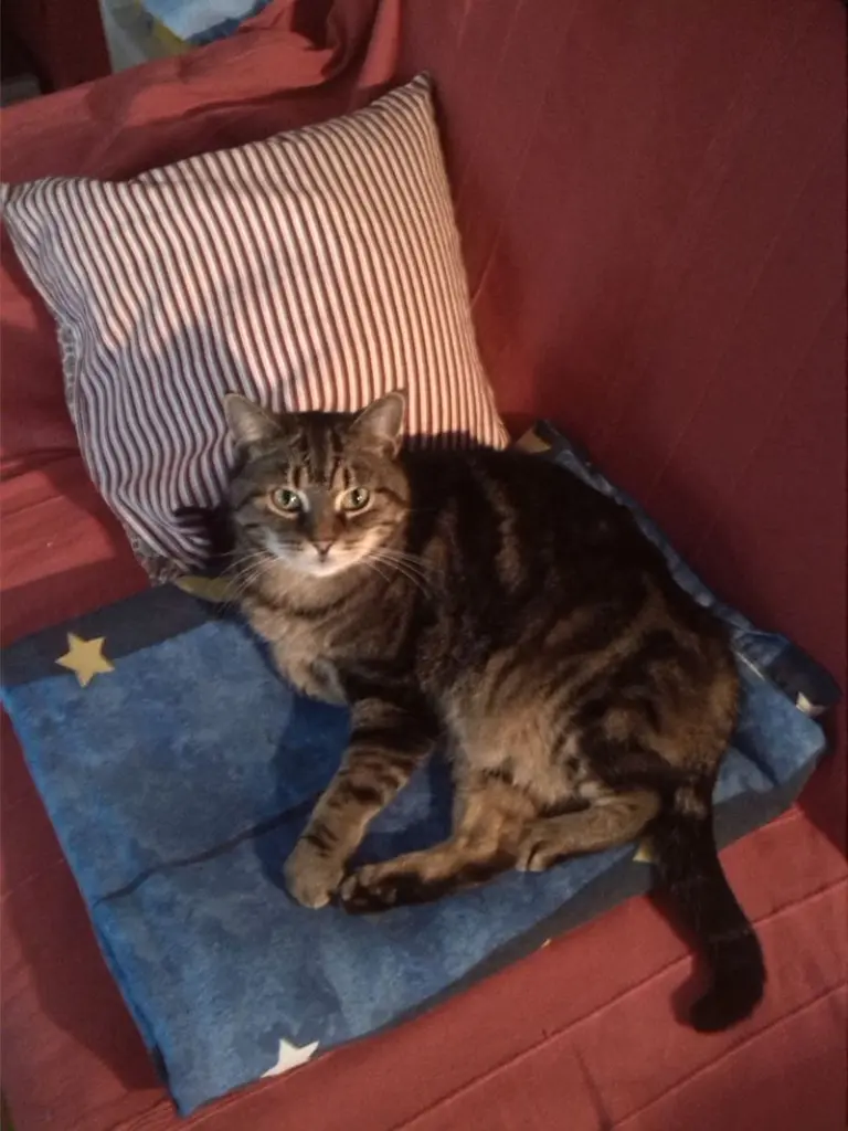 Andachtsbild von Marion