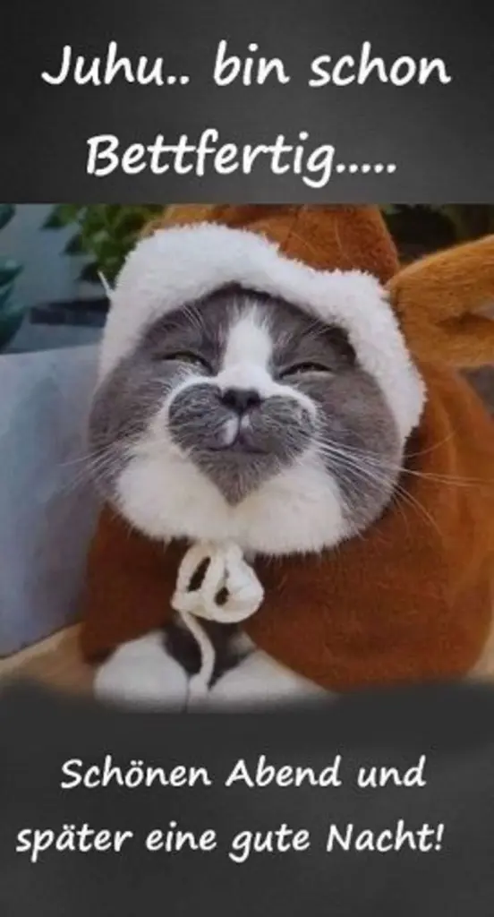 Andachtsbild von Sternchenpost⭐