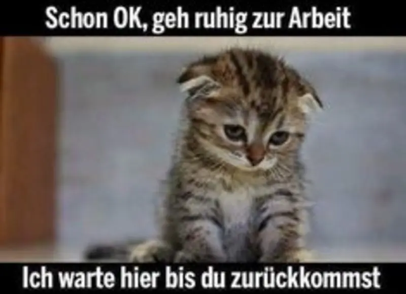 Andachtsbild von Post von Gatita, Schnuffi, Mausi und Timmy an Katzenmutti Silvia 