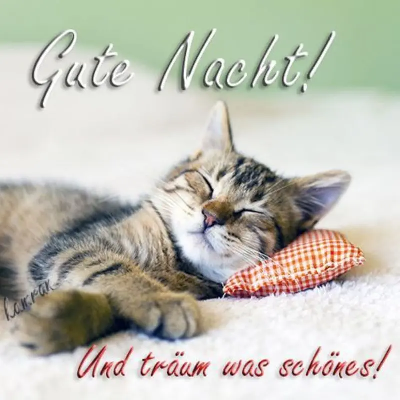 Andachtsbild von Für Gatita und Mama Silvia ♥️