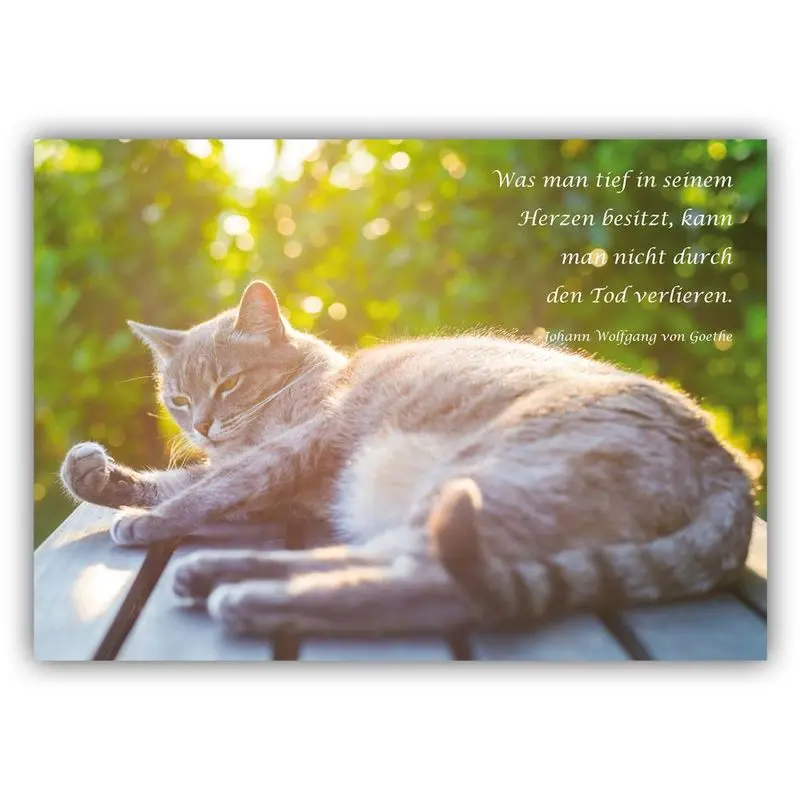 Andachtsbild von An meine geliebte Gatita von Katzenmama Silvia