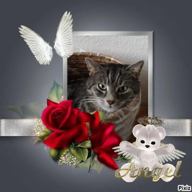 Andachtsbild von Sternchenpost ⭐