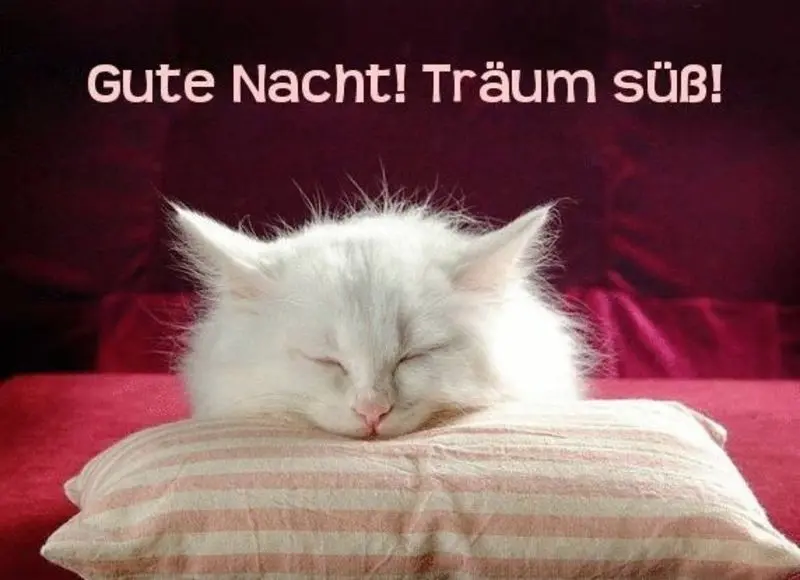 Andachtsbild von Sternchenpost⭐