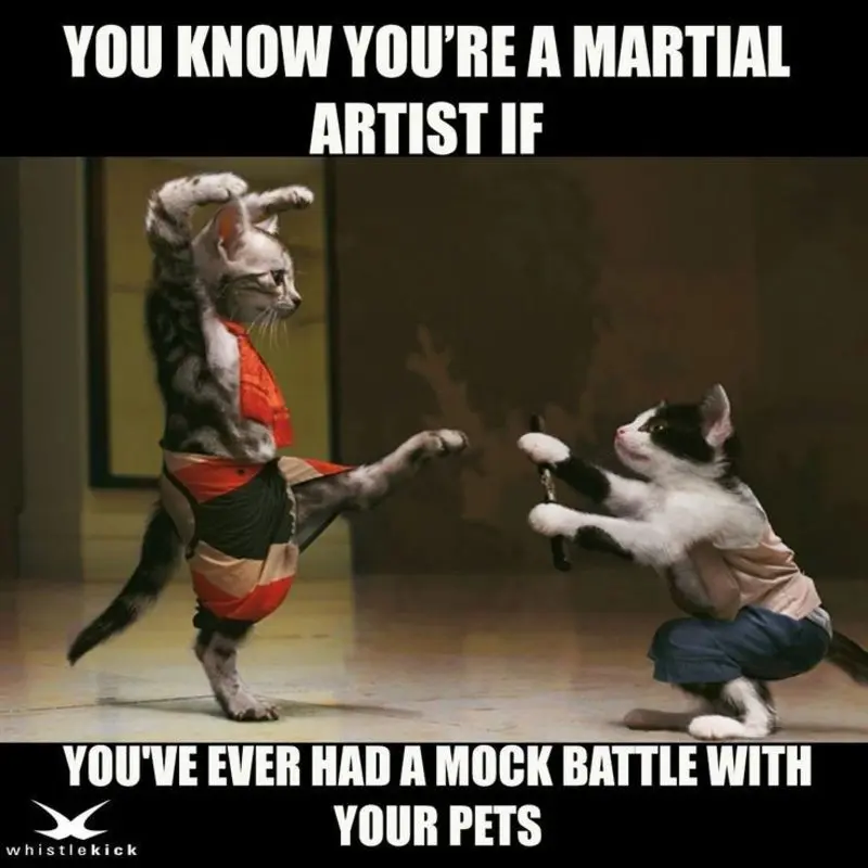 Andachtsbild von Sternchenpost⭐