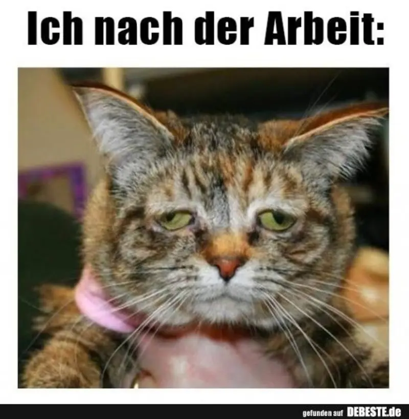 Andachtsbild von Post von Gatita, Schnuffi, Mausi und Timmy an Katzenmutti Silvia 