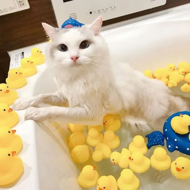 Andachtsbild von Sternchenpost⭐